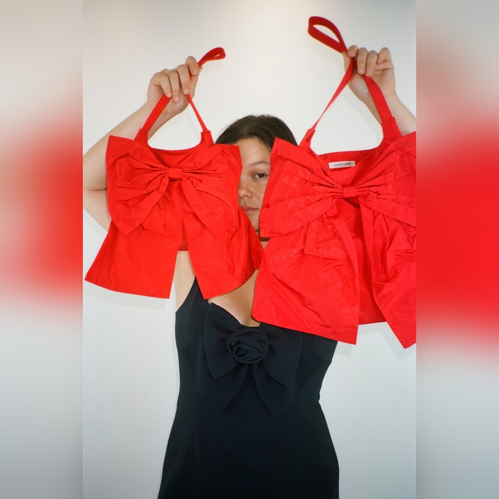 Sandy Liang Roma Bag (Red) - Picture 9 of 9